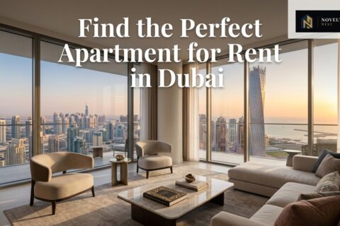 Find the Perfect Apartment for Rent in Dubai